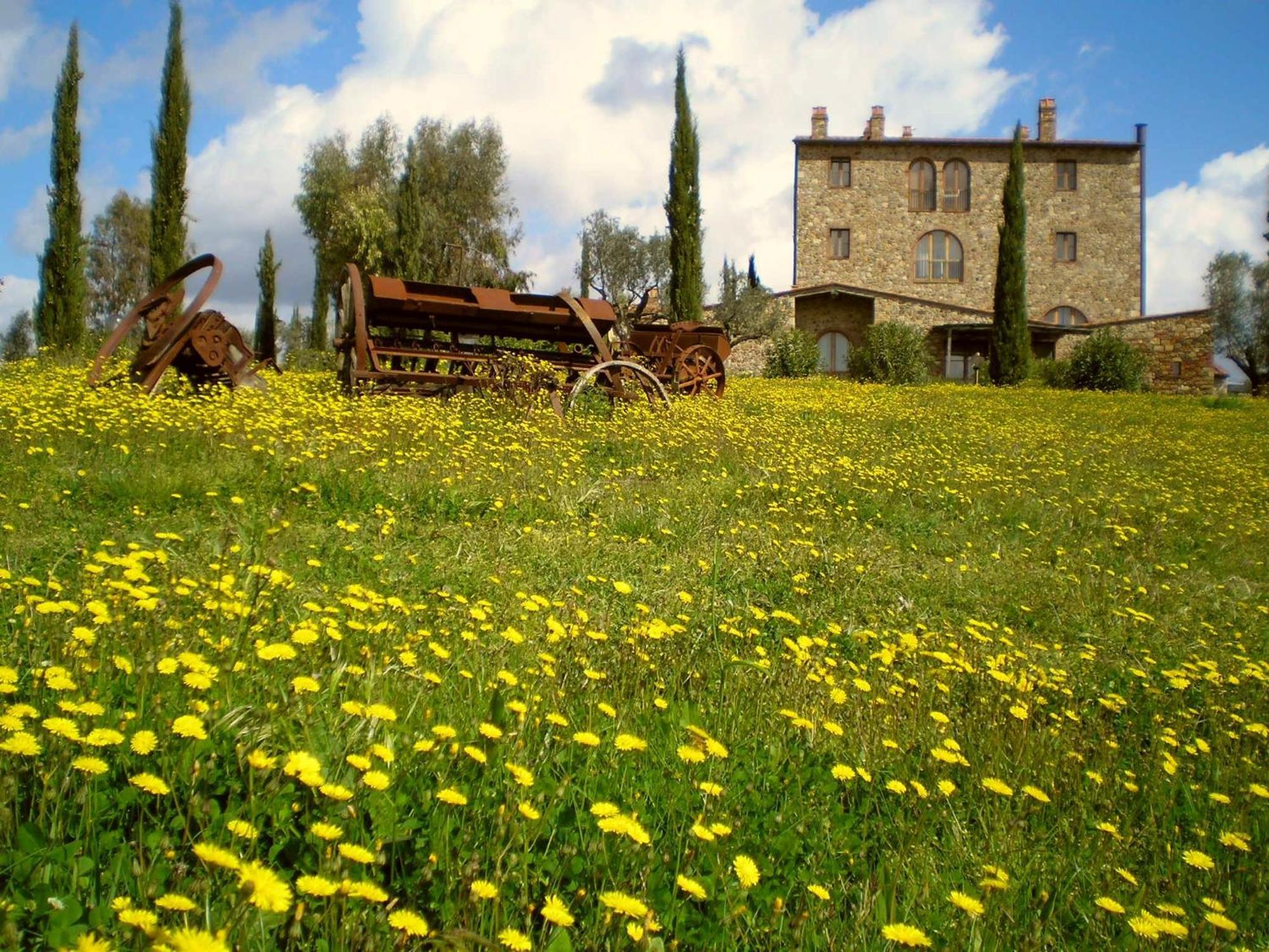 Il Convento Di Monte Pozzali Villa Massa Marittima Buitenkant foto