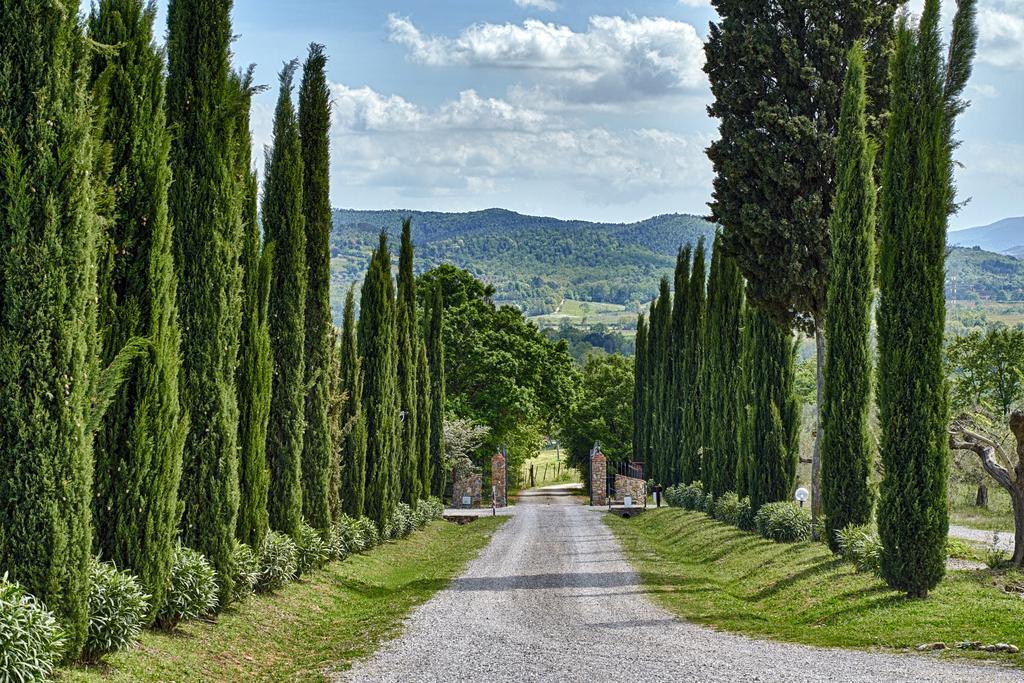 Il Convento Di Monte Pozzali Villa Massa Marittima Buitenkant foto