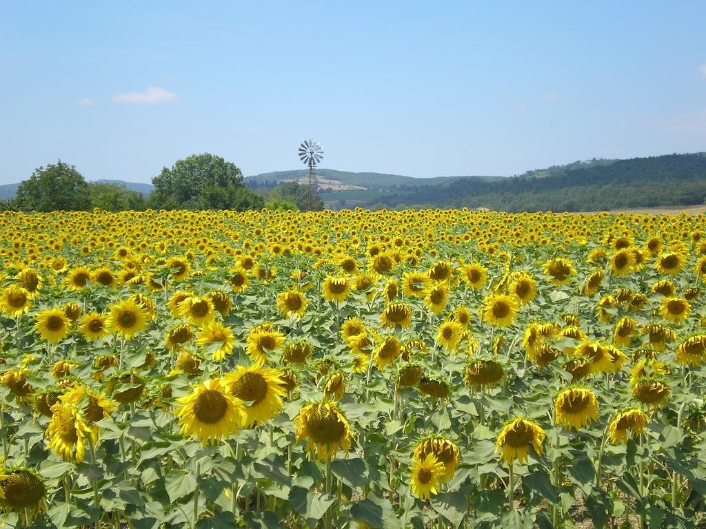 Il Convento Di Monte Pozzali Villa Massa Marittima Buitenkant foto